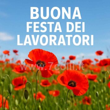 Festa dei Lavoratori auguri papaveri