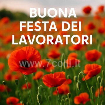 Festa dei Lavoratori auguri papaveri da vicino