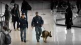 Fiumicino aeroporto, arrestato borseggiatore seriale: lo seguivano da giorni, colto sul fatto al Terminal 3