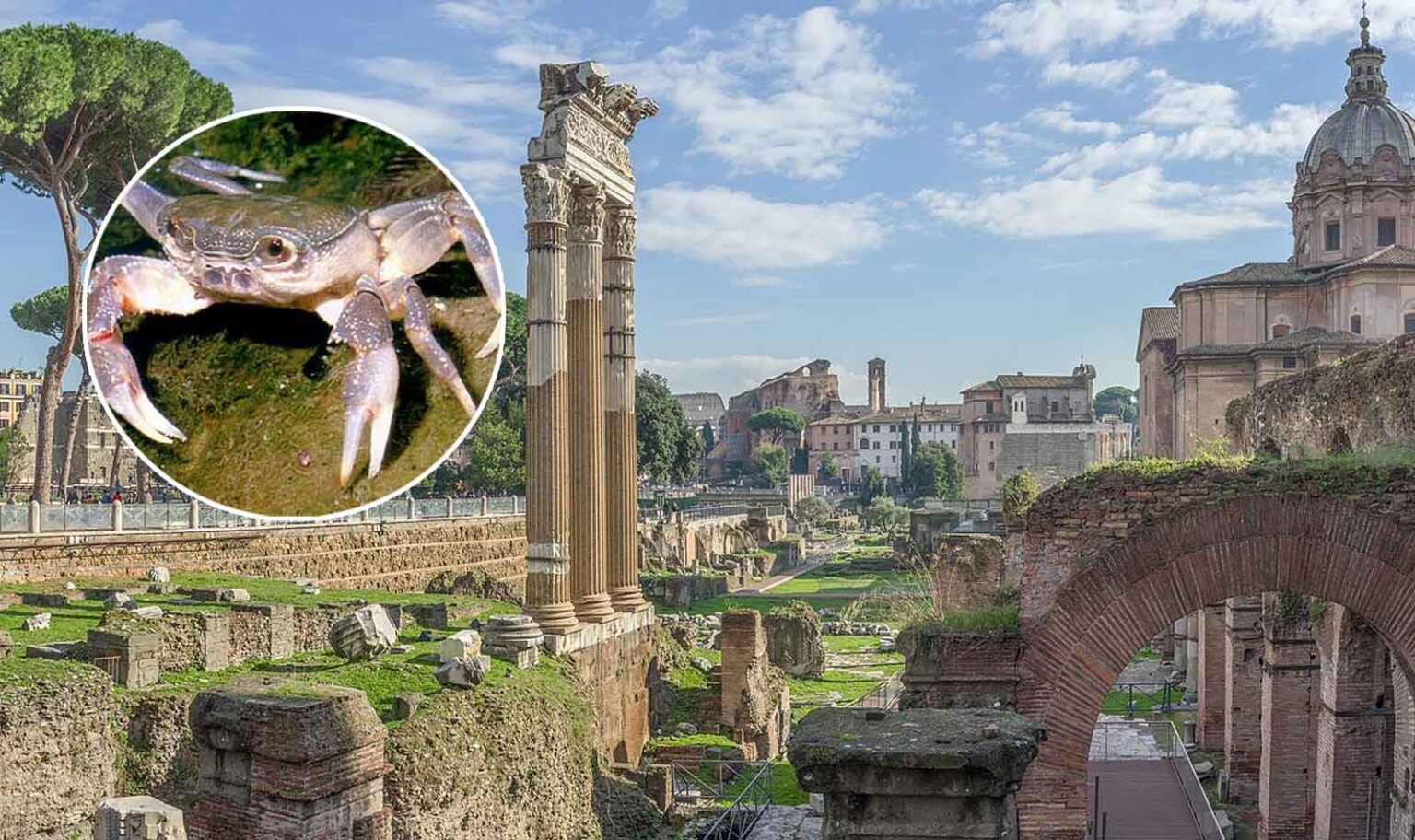 imponente gruppo di edifici nei fori imperiali a roma