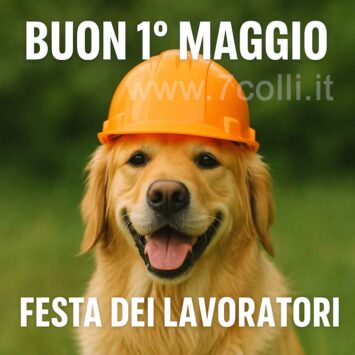 buon 1 maggio cane
