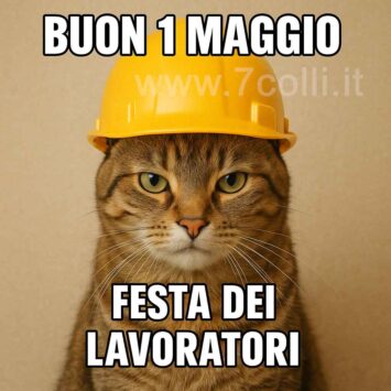 buon 1 maggio gatto
