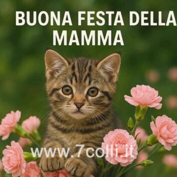 gattino