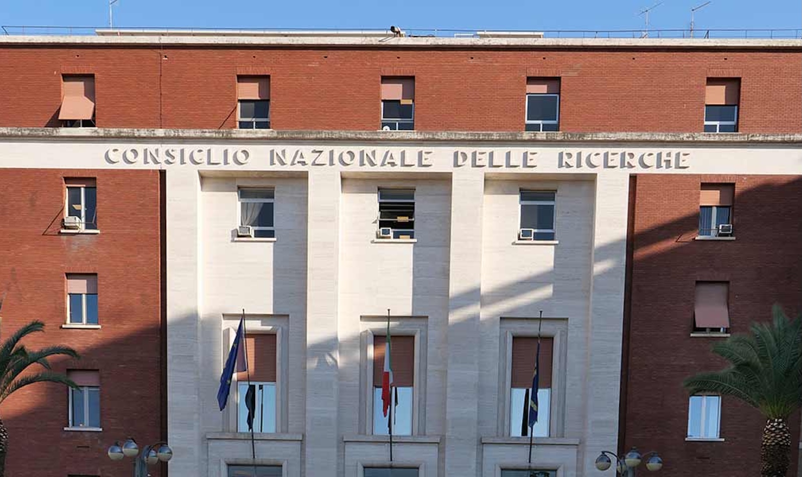 Consiglio Nazionale delle Ricerche (CNR)