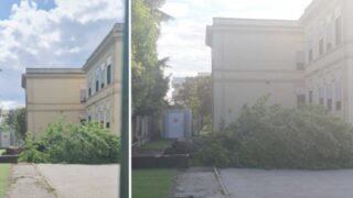 Ostia Antica, crolla un albero alla scuola Fanelli-Marini: tragedia sfiorata per pochi minuti