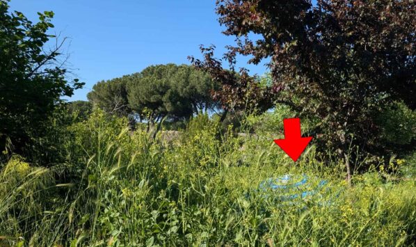 Parco Acquedotti ombrellone