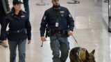 Sacerdote anziano si perde a Fiumicino: ritrovato dalla Polaria dopo ore di angoscia