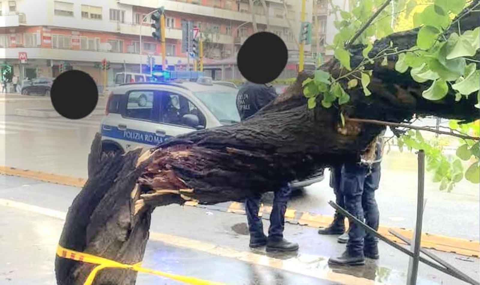 Roma albero crolla Tuscolana
