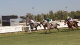 UAE President Cup 2025, per la prima volta a Roma la prestigiosa corsa internazionale da 300mila euro