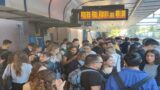 Metromare, cronaca di un disastro annunciato: aprile fotocopia di marzo, tra ritardi, corse fantasma e treni al capolinea