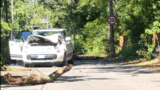 Albano, grosso ramo cade e centra un’auto di passaggio: il conducente illeso per puro miracolo