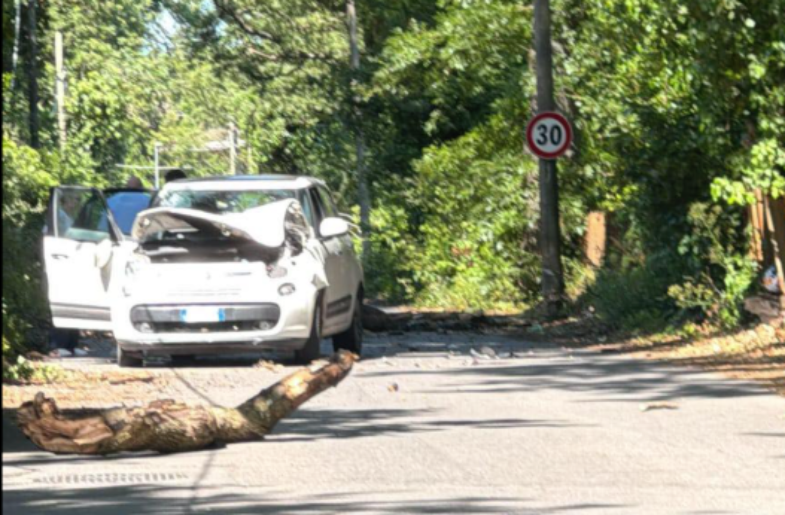 Albano, l'auto colpita dall'albero caduto su via Miralago