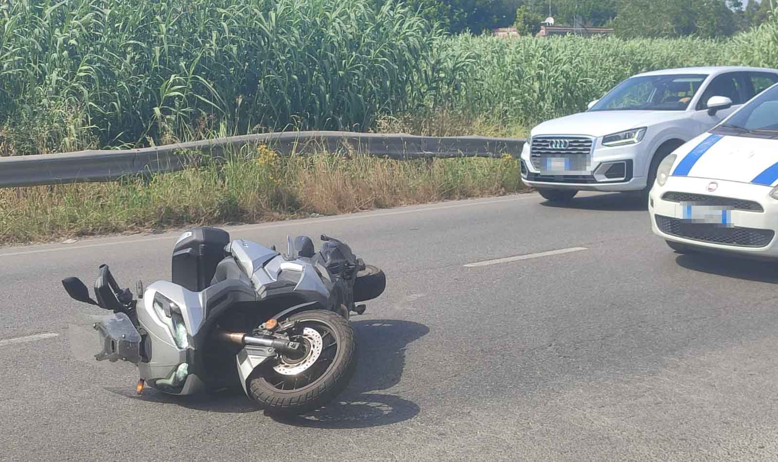 Ardea incidente via Niso