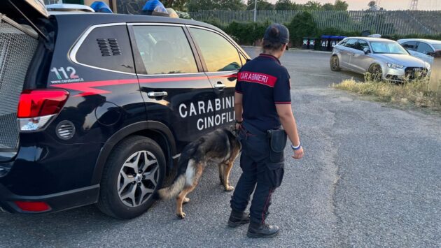 Carabinieri cinofili