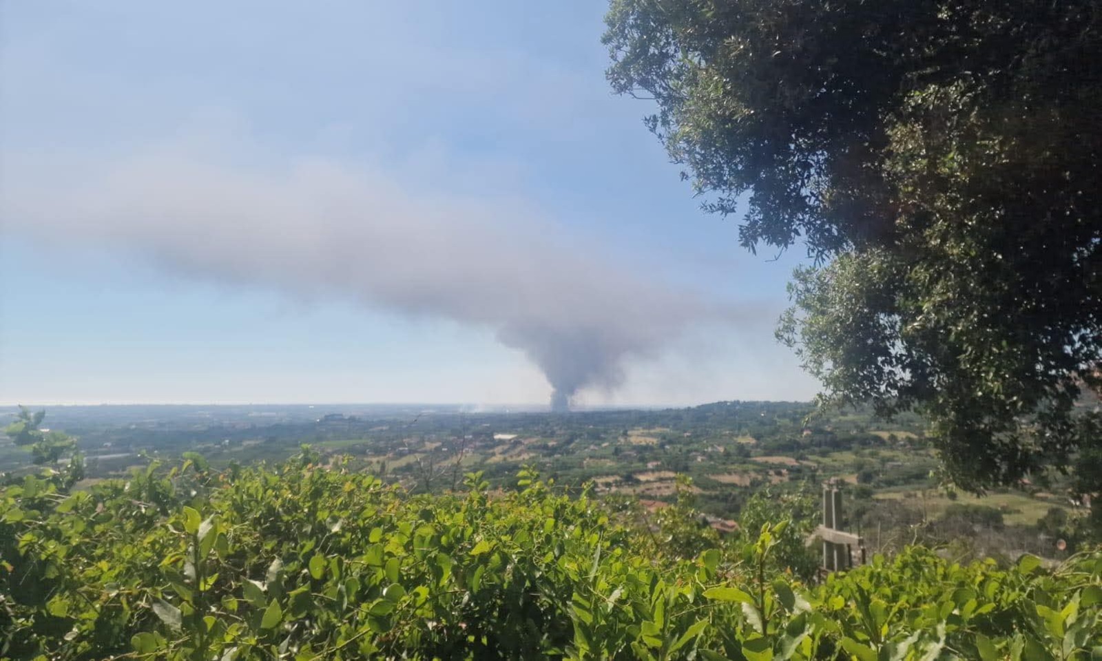 Incendio a Santa Palomba