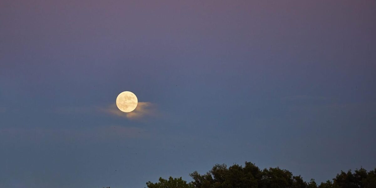 Luna piena