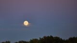 Luna piena da record: l’11 giugno evento irripetibile, come vederlo al meglio