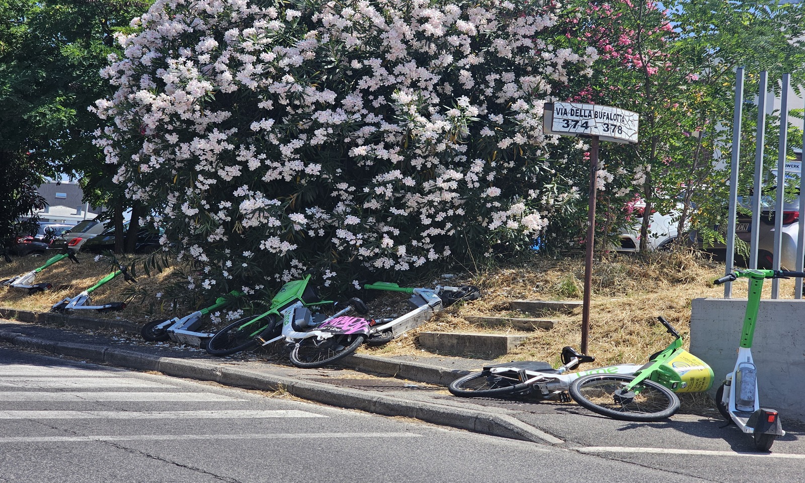 Monopattini e bici elettriche a Roma