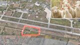 Pomezia, pecore al pascolo vicino l’aeroporto di Pratica di Mare: lo Stato chiede al pastore 100mila €