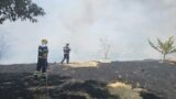Roma, grave incendio nella Riserva della Valle dell’Aniene a Montesacro: maxi risposta di soccorsi