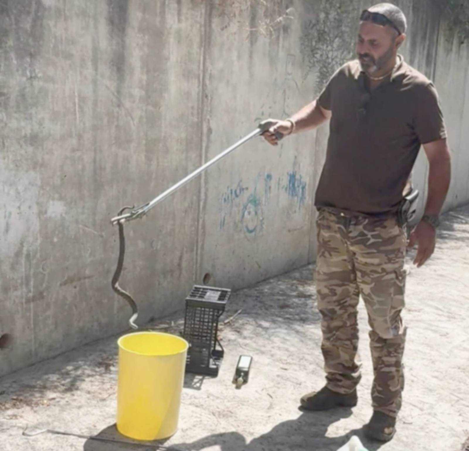 Roma, Lunerti cattura la vipera