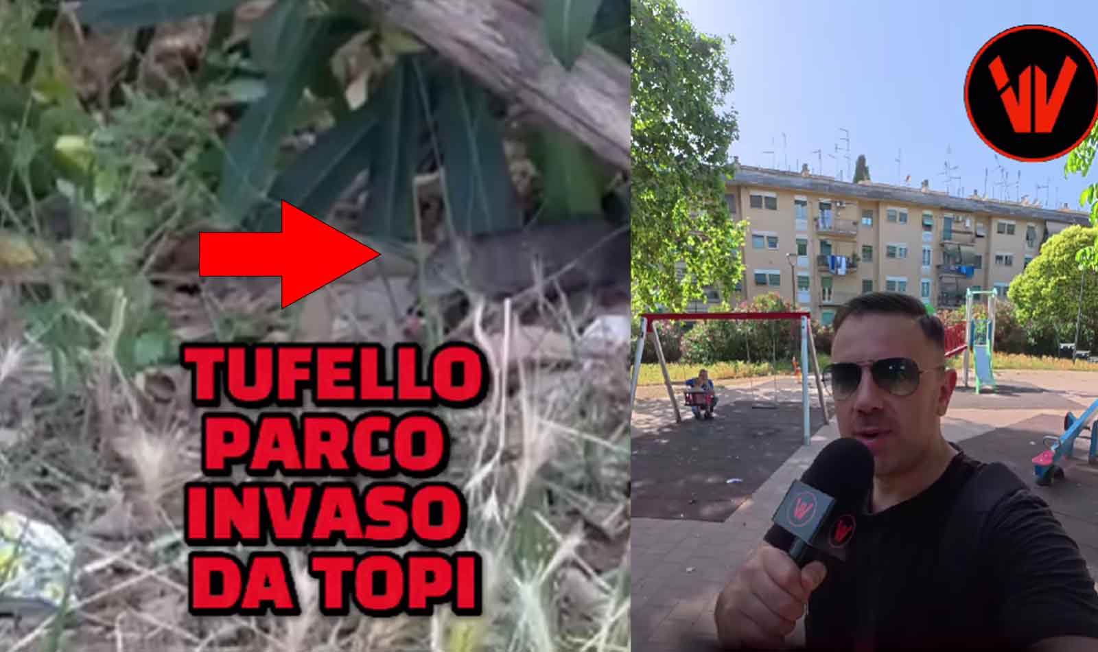 Roma Tufello parco Kennedy con i topi