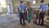 Roma, orrore a Prima Porta: 320 animali salvati da un rifugio abusivo trasformato in discarica