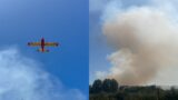 Roma e provincia bersagliate dagli incendi: maxi rogo a Cesano e un altro incendio nel III Municipio (FOTO)