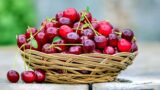 Sagre a Roma e nel Lazio sabato 7 e domenica 8 giugno 2025: eventi imperdibili questo weekend