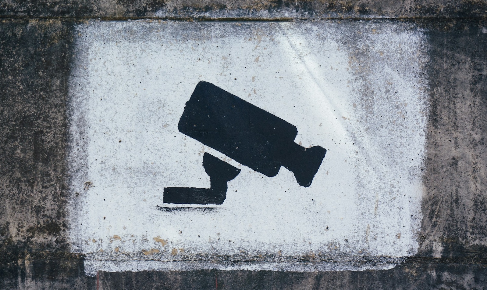 Telecamera di videosorveglianza