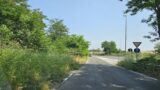 Roma, sterpaglie e degrado al Viadotto dei Presidenti: “Accampamenti e bivacchi ovunque”