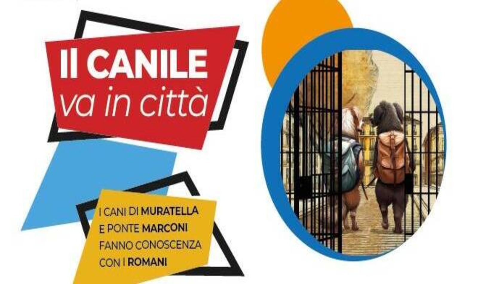 canile va in città