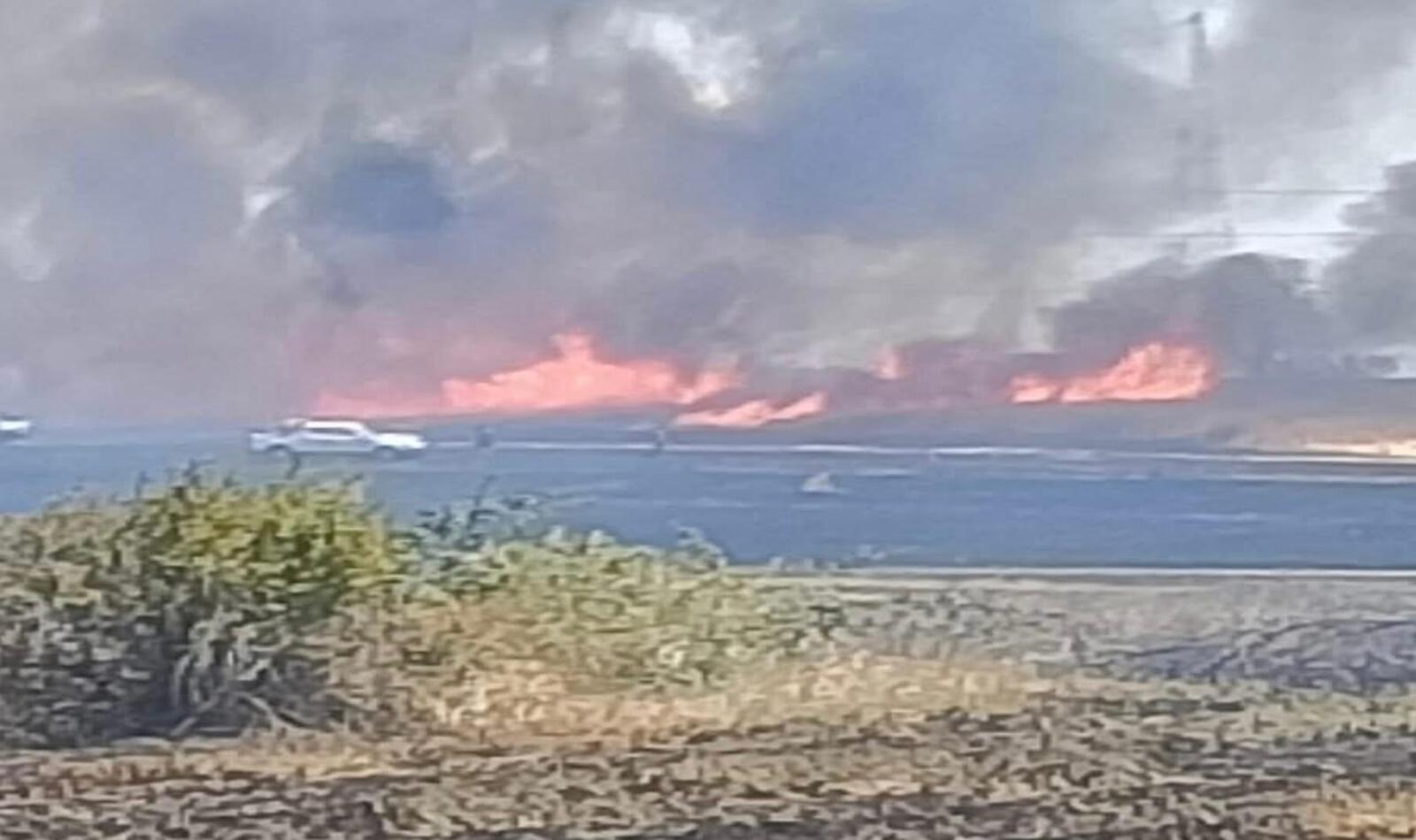 Incendio Cesano