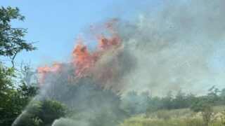 Incendio al parco degli Acquedotti: treni sospesi per due ore