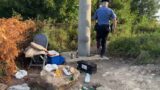 Cerveteri, take away della droga nel bosco: spaccio in un bivacco nascosto tra gli alberi