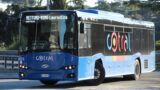 Roma, minaccia l’autista con un coltello per andare al mare: barman ubriaco blocca bus Cotral