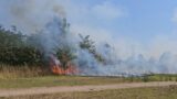 Roma, vasto incendio al parco di Largo Labia e sul Viadotto dei Presidenti: bruciati alberi e sterpaglie (FOTO)