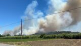 Roma, enorme incendio boschivo in via di Boccea: mezzi aerei sul posto, grossa colonna di fumo sulla Capitale (FOTO)