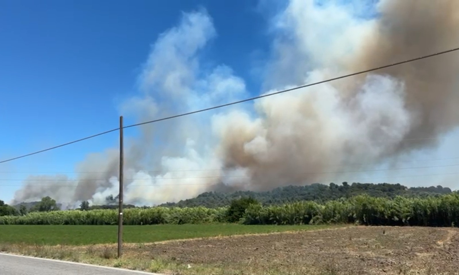 Incendio boschivo a Boccea