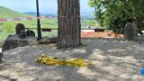 Omicidio a Rocca di Papa: spara al 35enne che uccise il figlio