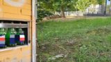 Roma, dopo l’inaugurazione del parco Chiala tornano gli stessi problemi: perdite d’acqua, rami pericolanti e bottiglie di birra ovunque