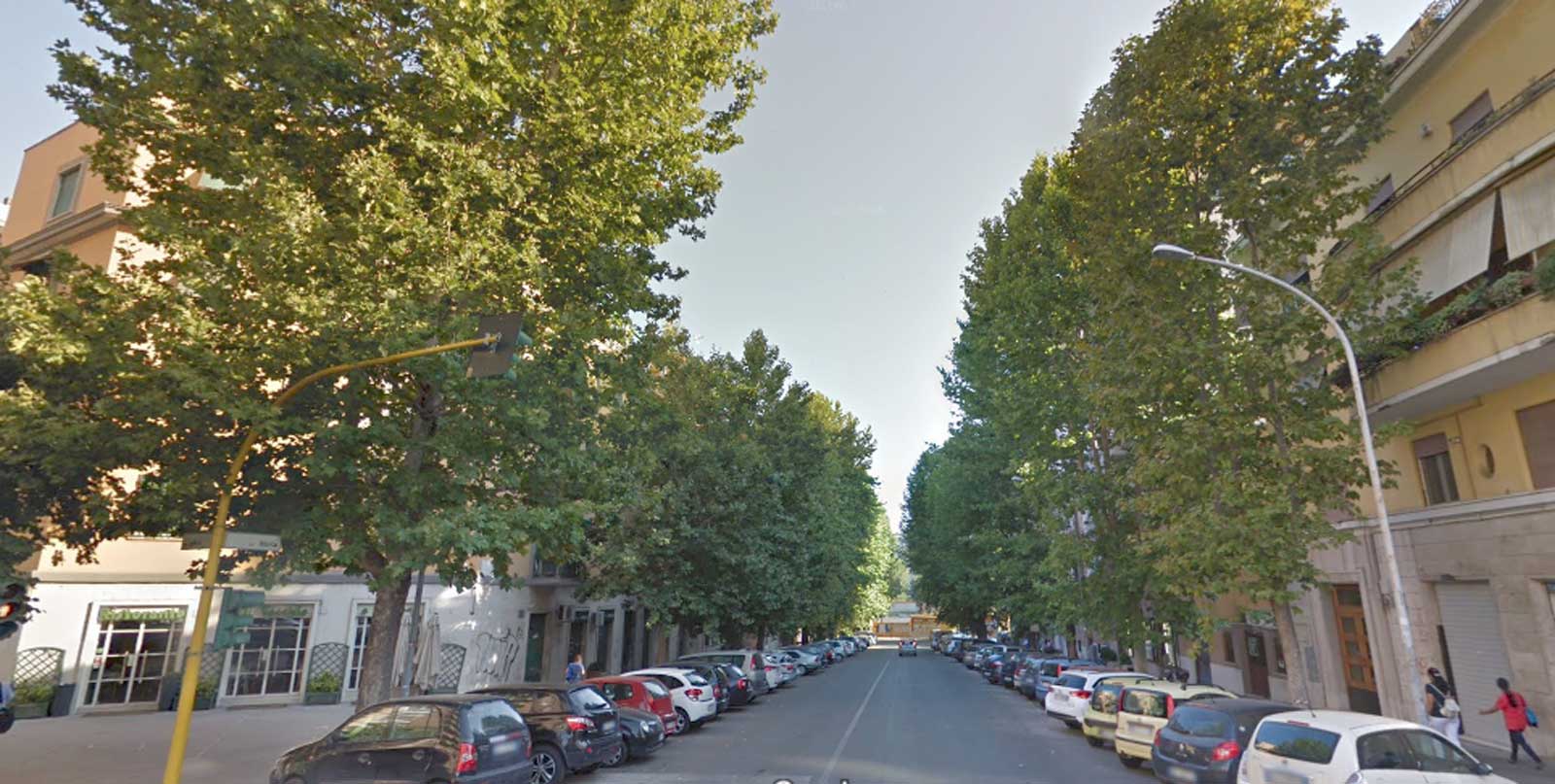 Roma, alberi di via Illiria, foto Google Maps