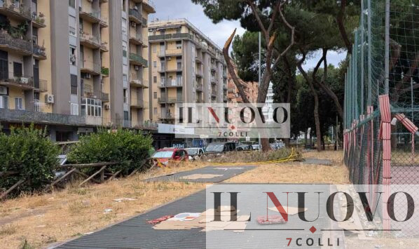 Roma, degrado in piazza dei Consoli rami caduti