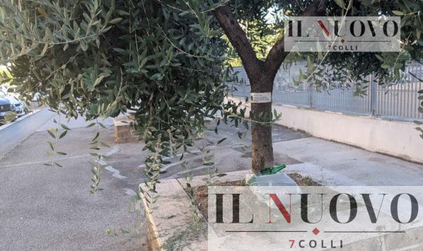 Roma, viale Don Bosco bottiglie abbandonate