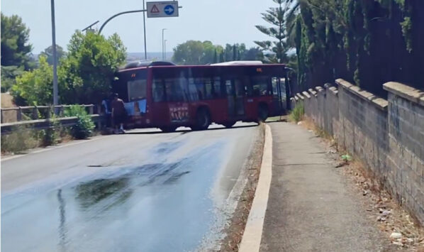 Viale dei romagnoli Acilia2