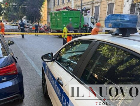 Albero caduto a viale mazzini