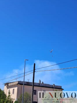 Elicottero