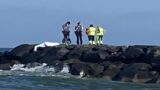 Tragedia a Fregene: 48enne muore in mare dopo un malore improvviso