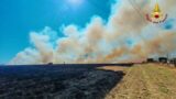 Devastante incendio a Latina: in fiamme 30 ettari di vegetazione e una struttura in legno