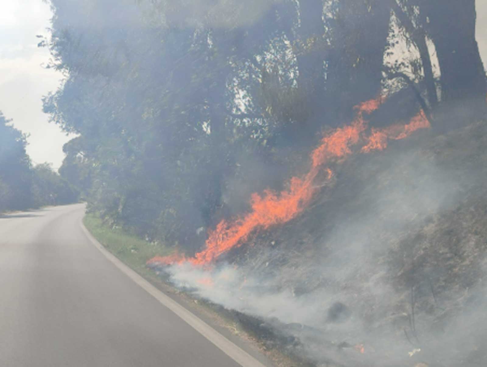 Incendio Campo di Carne